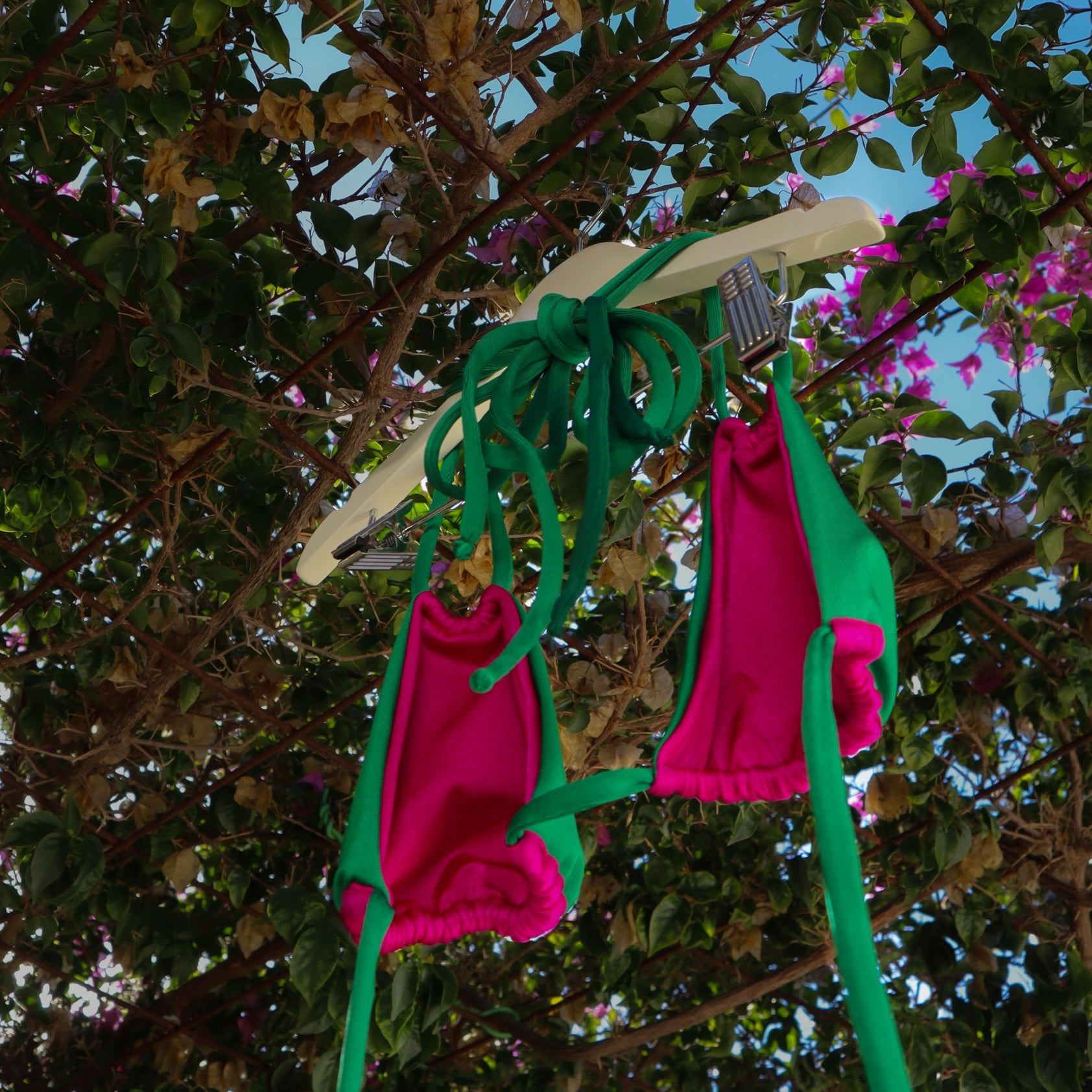BAE KINI TOP - Dragon Fruit x Emerald Island. image 13